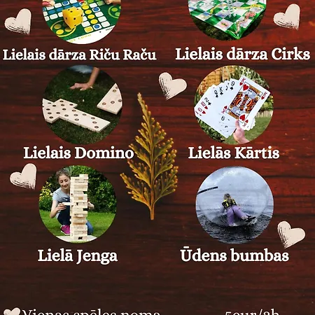 Viesu Nams “bauli” *
